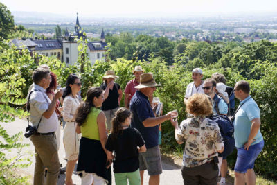 Weinterrassentour mit Weinverkostung